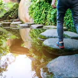 'Take The Steps' Mindfulness  and Wellbeing 6-week Course (IN PERSON-DUBLIN) - Book now - €180