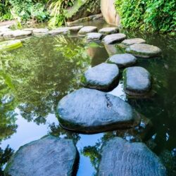 'Take The Steps' 6-week Course (ONLINE) - Book Now - €180