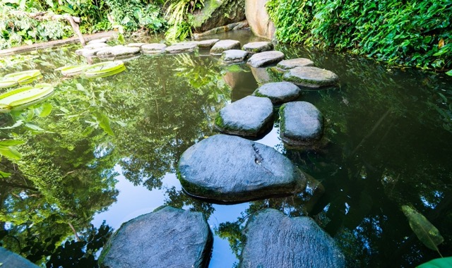 'Take The Steps' 6-week Course (ONLINE) - Book Now - €180